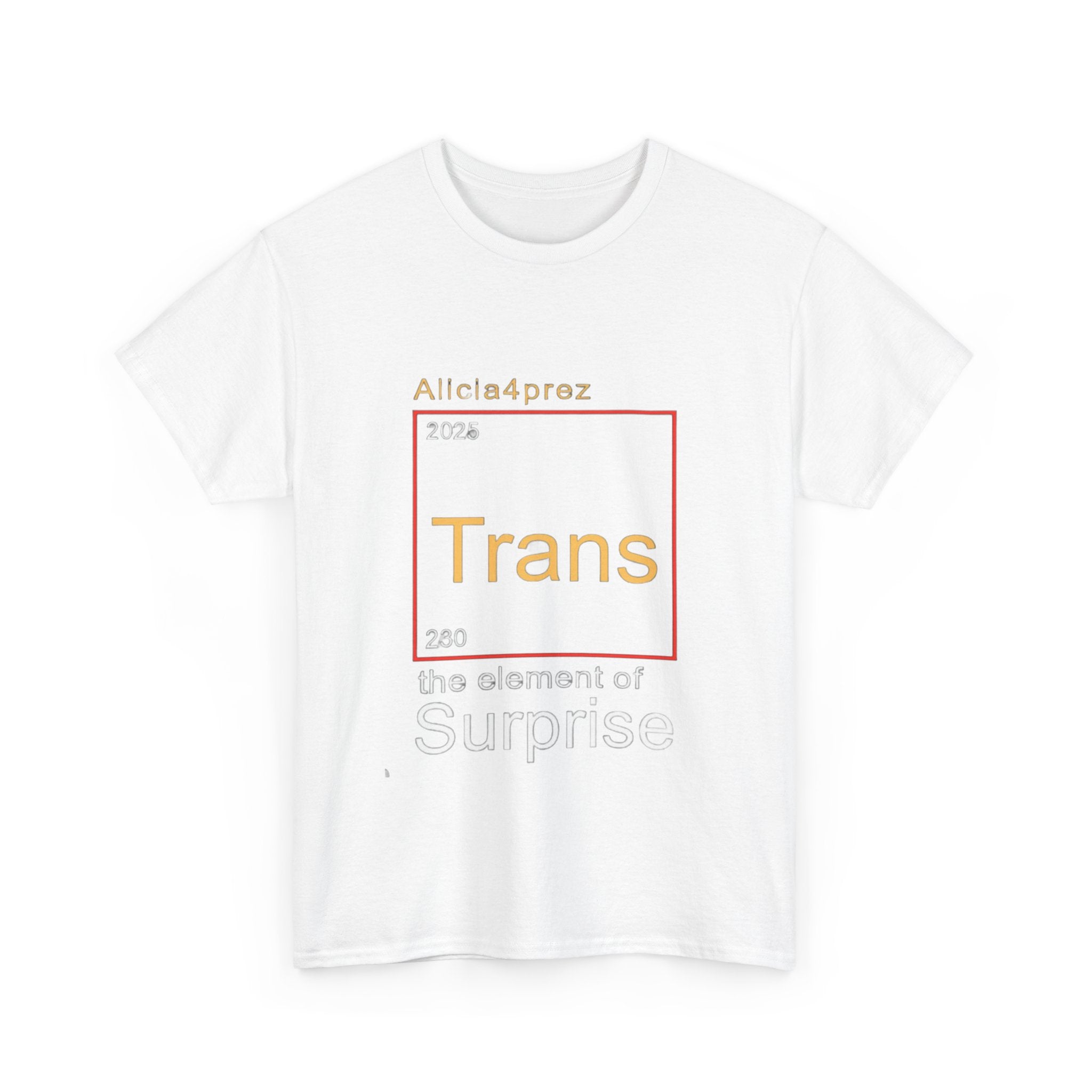 Unisex Heavy Cotton Tee